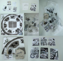 Aleksandra Braska / szara codzienność / 2016